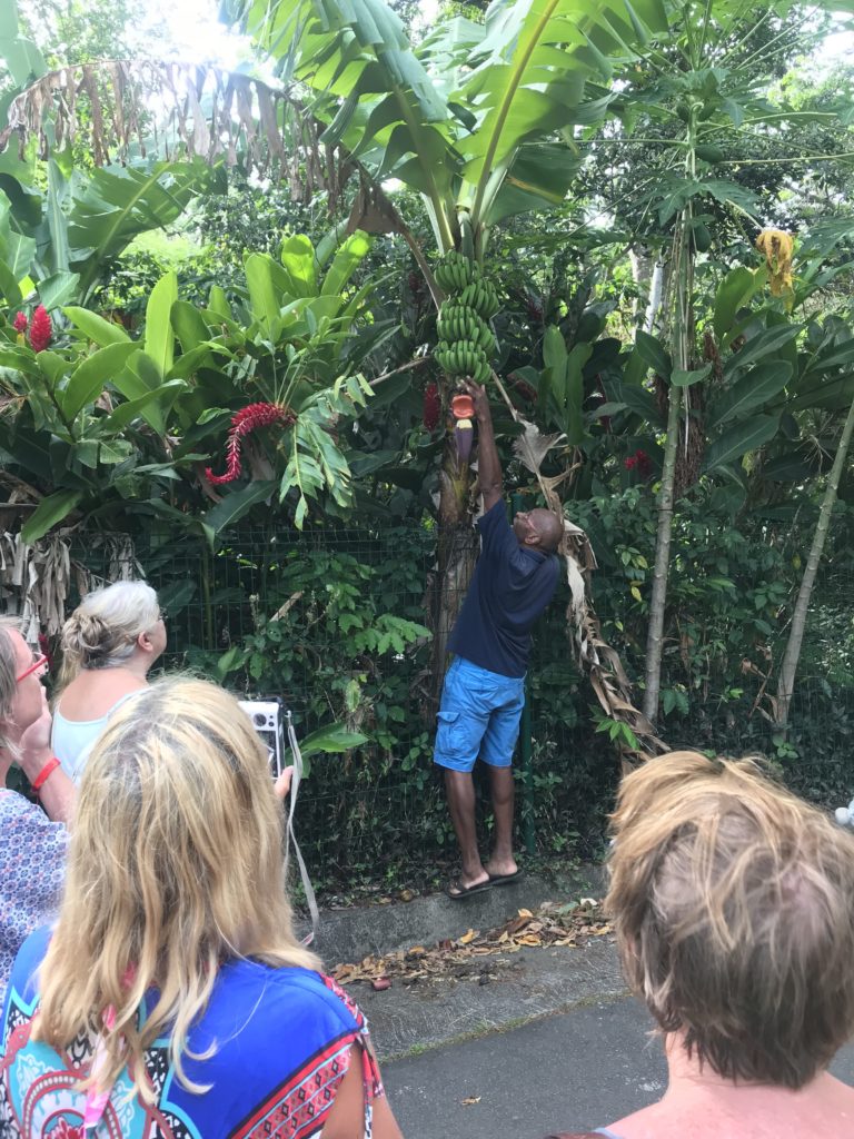 JOURNEE EN BASSE-TERRE (EDUCTOUR 2018)