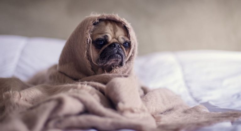 MA « BAD MOOD » ROUTINE