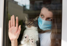 LE SYNDROME DE LA CABANE