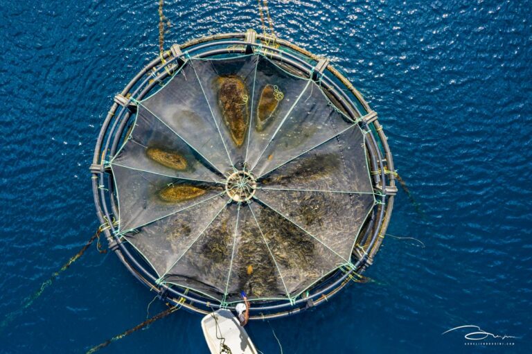 Vive les métiers de la mer !