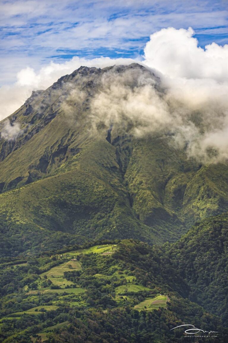 Ardente Montagne Pelée